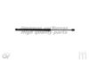 ASHUKI N925-17 Gas Spring, boot-/cargo area